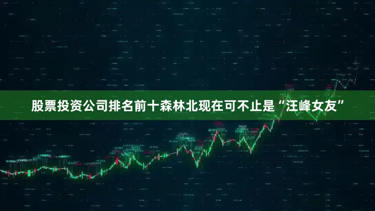 股票投资公司排名前十森林北现在可不止是“汪峰女友”