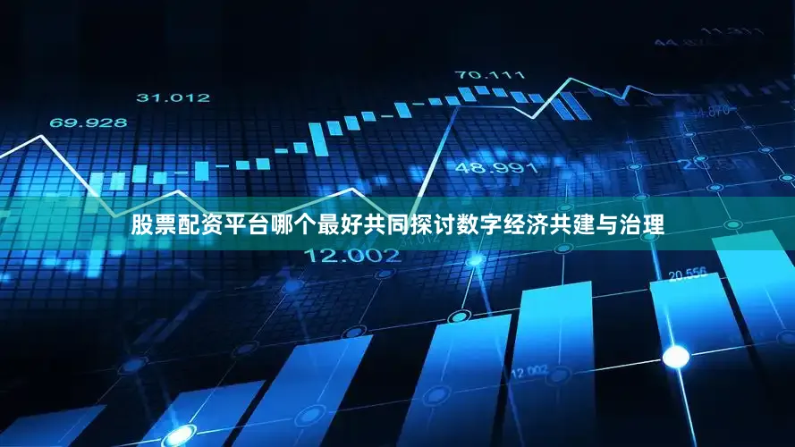 股票配资平台哪个最好共同探讨数字经济共建与治理