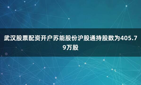 武汉股票配资开户苏能股份沪股通持股数为405.79万股